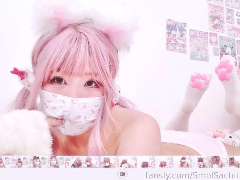 neko-chi after 5 mins of stealing senpai’s laptop for work: