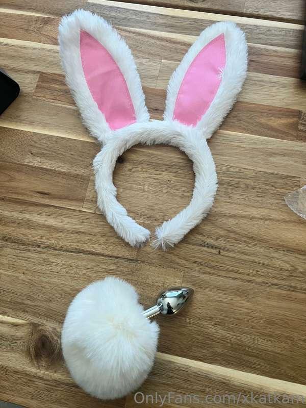 Going to be a fun Easter this year 🐰🐣💐🥚
