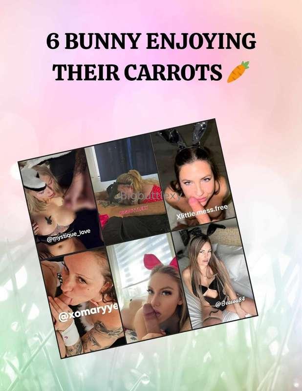 6 lapines salopes prêtent à déguster une carottes bien dure!..