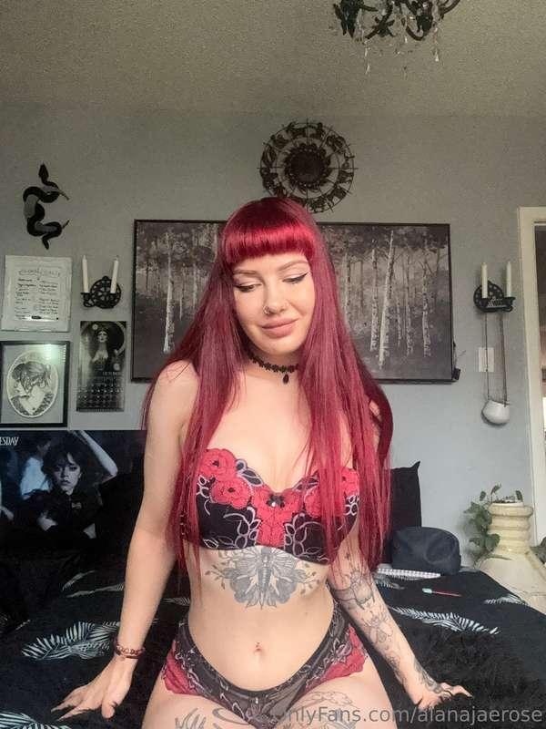 alanajaerose image #5