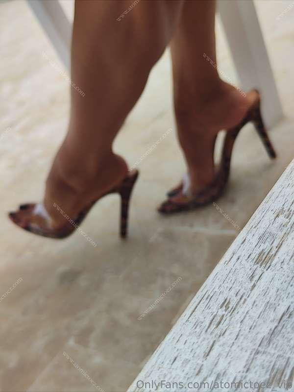 🐆