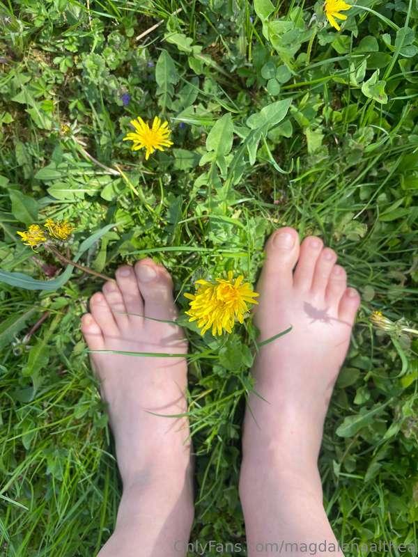 Sexy feet in grass 😋