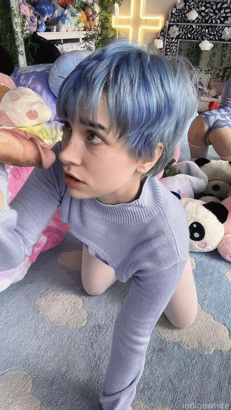 indigowhite image #91