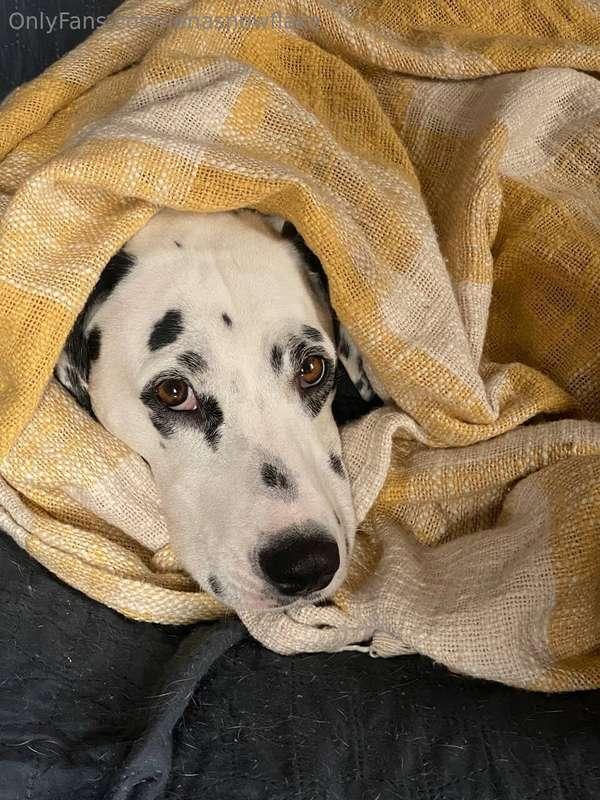 And who will warm me up?? 🥺