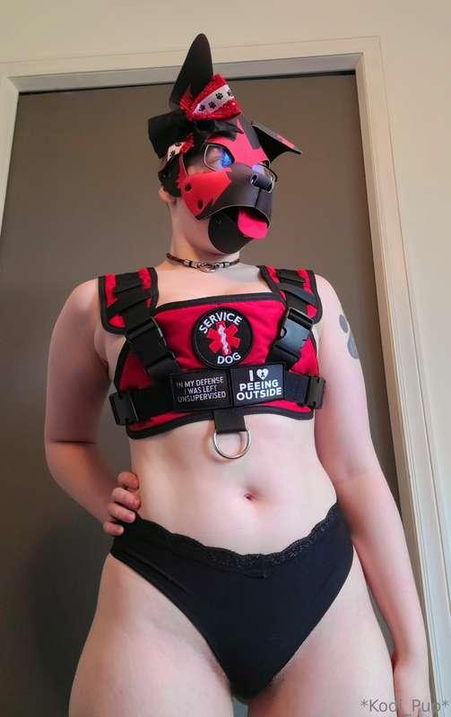 kodi_pup image #1