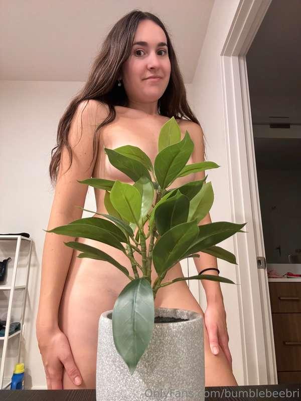 TITTIES IN THE JUNGLE 🌴