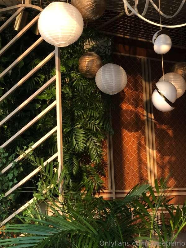 Yesterday's vibe🧡