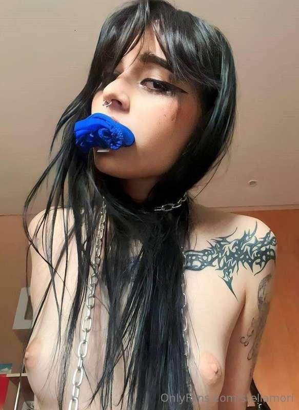 stellamori main image