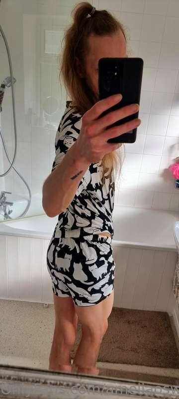 Meow 🐈