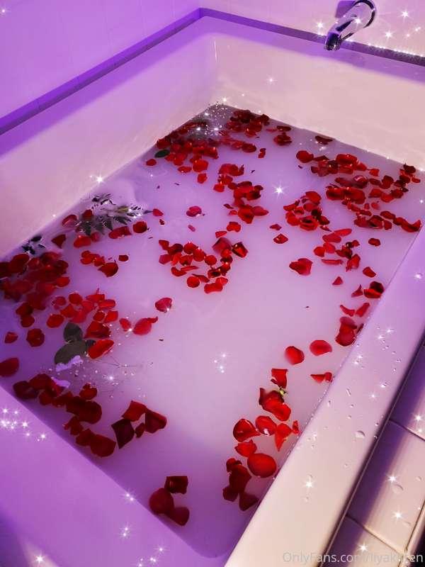 So aesthetically pleasing ❤❤🌹