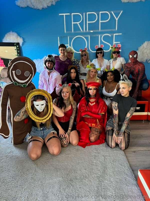 Have you watched the "Shrek Orgy Halloween Night Scene" yet?