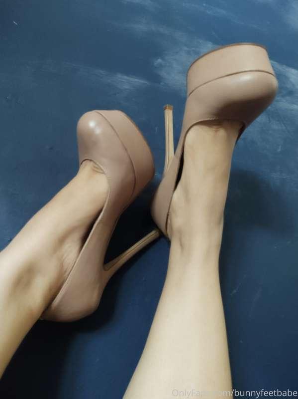 Come clean my heels with your tongue