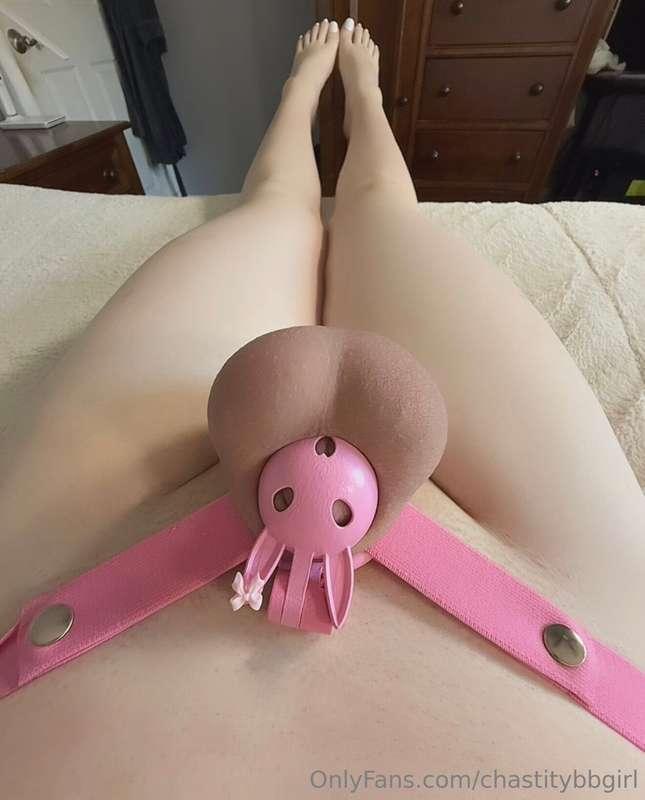 chastitybbgirl image #0