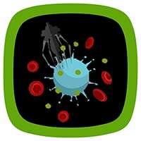 Antitumors Namomachines