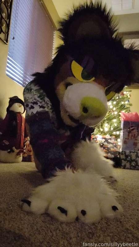 sillyybeetle image #8