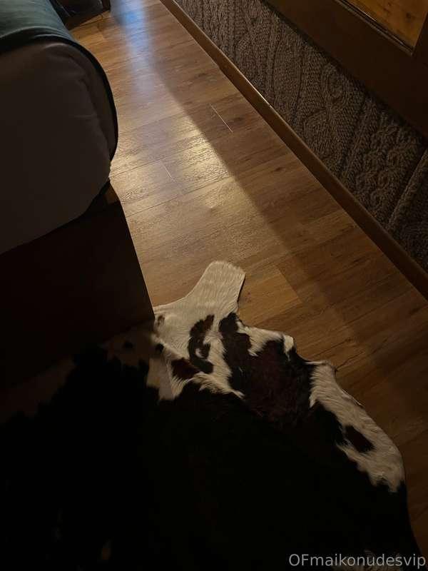 missmaikoxx image #4