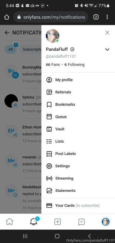 Welcome to my wonderful new subscribers!  Leave a comment an..