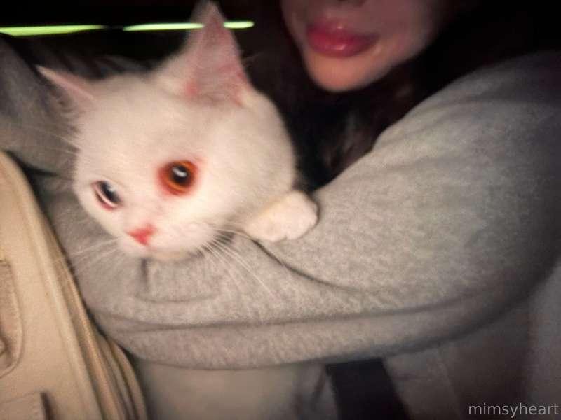 mimsyheart image #1