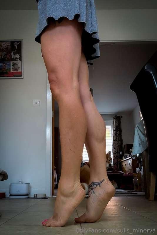 Sir said my legs look spectacular in this skirt. Do you agre..