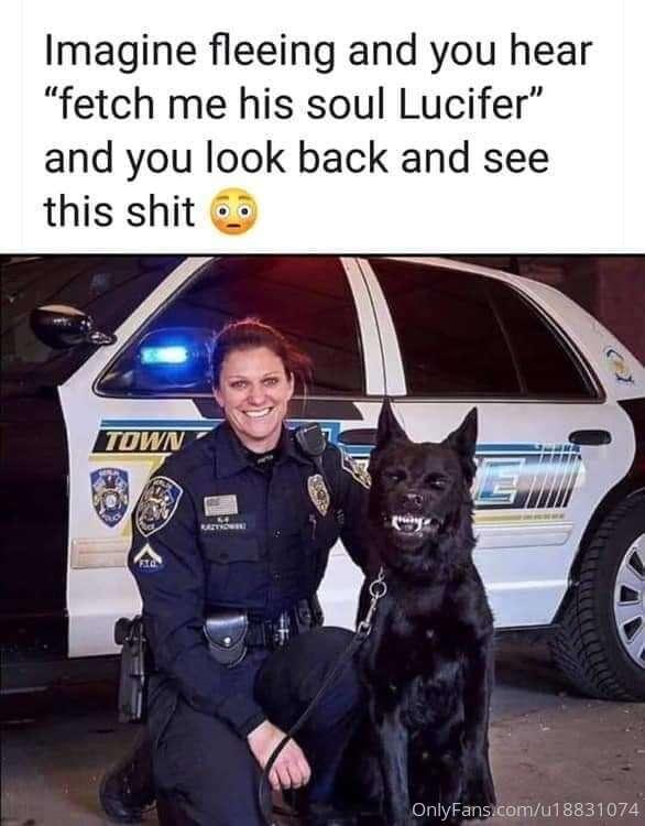 😂