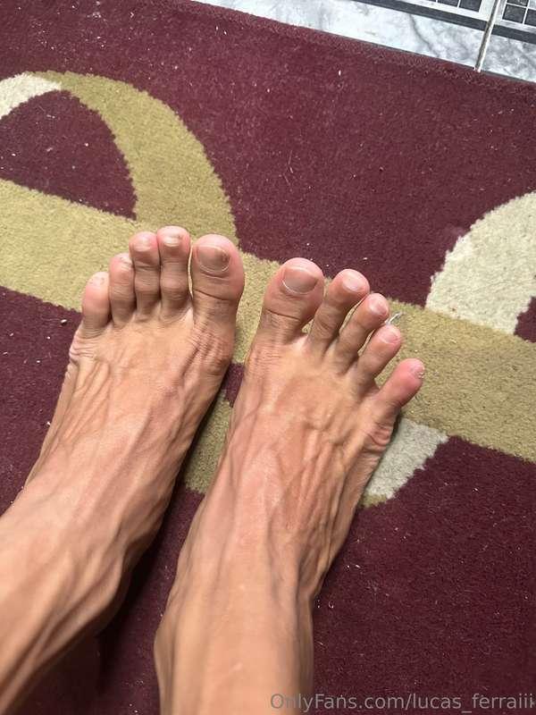 lucas_ferraiii image #1