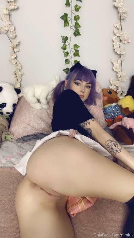 nimapie image #22
