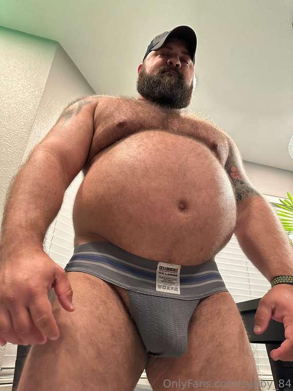 🐷🐻