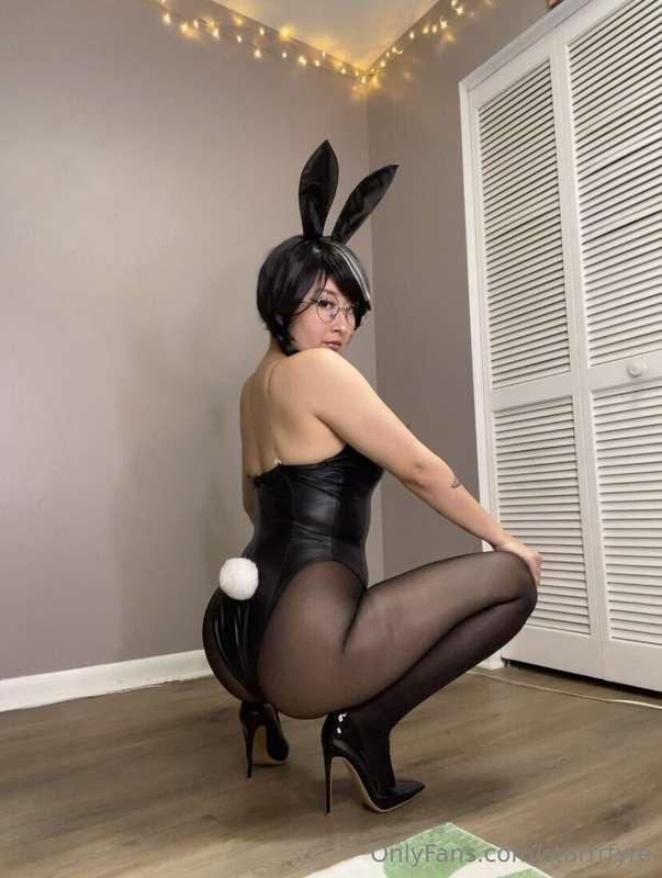 bunny girls > cat girls