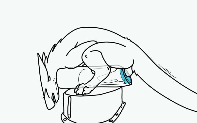 Breeding Mount Again
