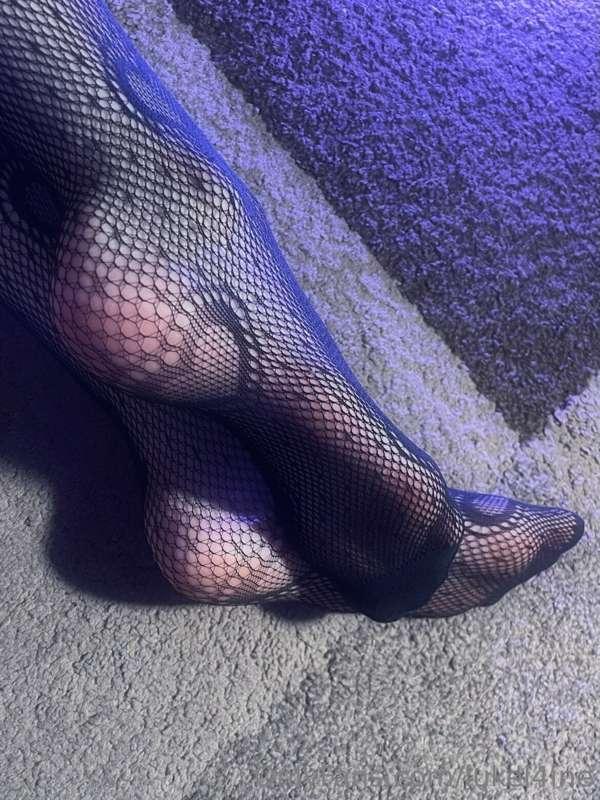 cute puppy paws wrapped tightly in fishnets 🐾