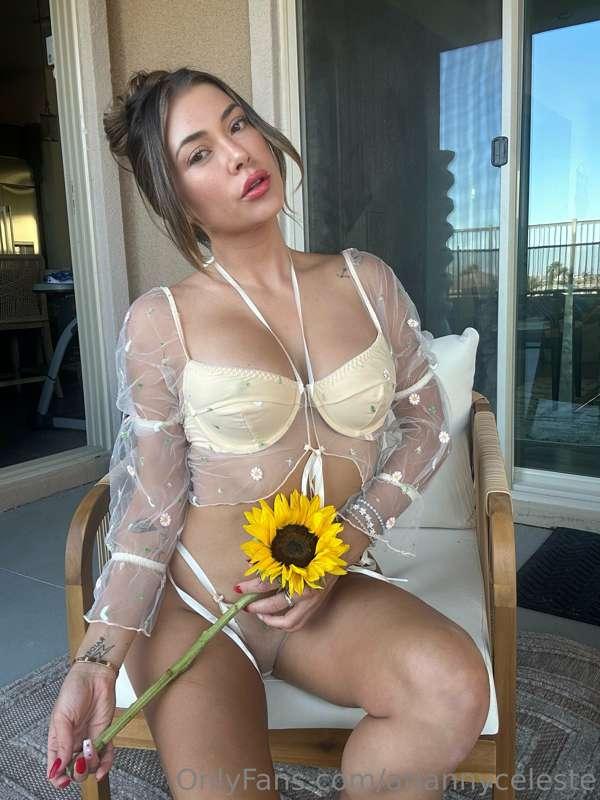 🌻Flowers don’t tell , they show .