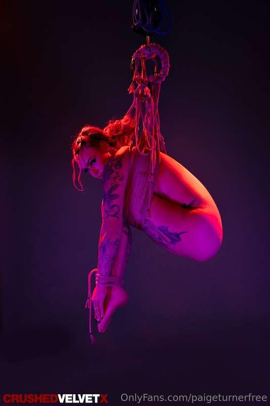 @cvxpremium was the first ever to bond and suspend me... and..