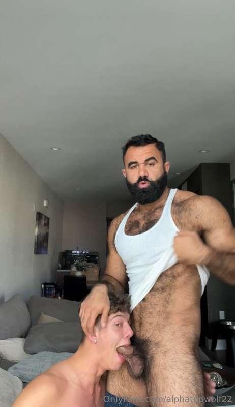 alphatopwolf22 image #2