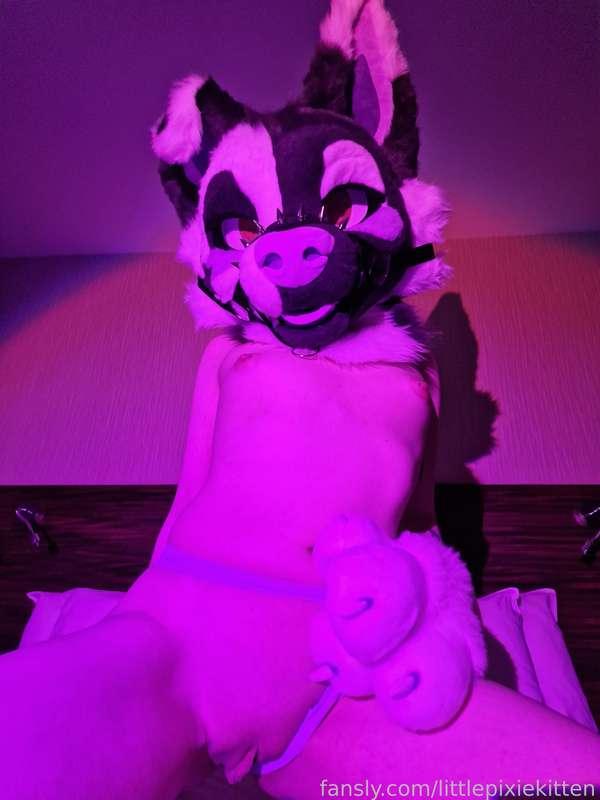 littlepixiekitten image #1