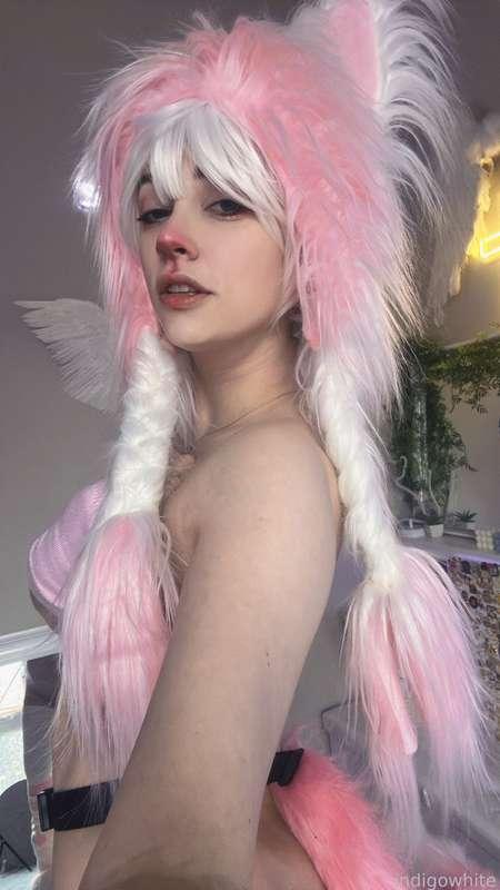 indigowhite image #288