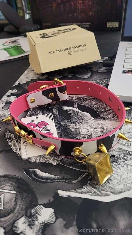 Got gifted a cowprint collar