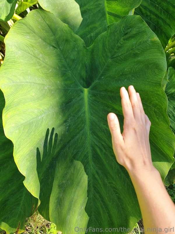 the.real.ninja.girl image #2