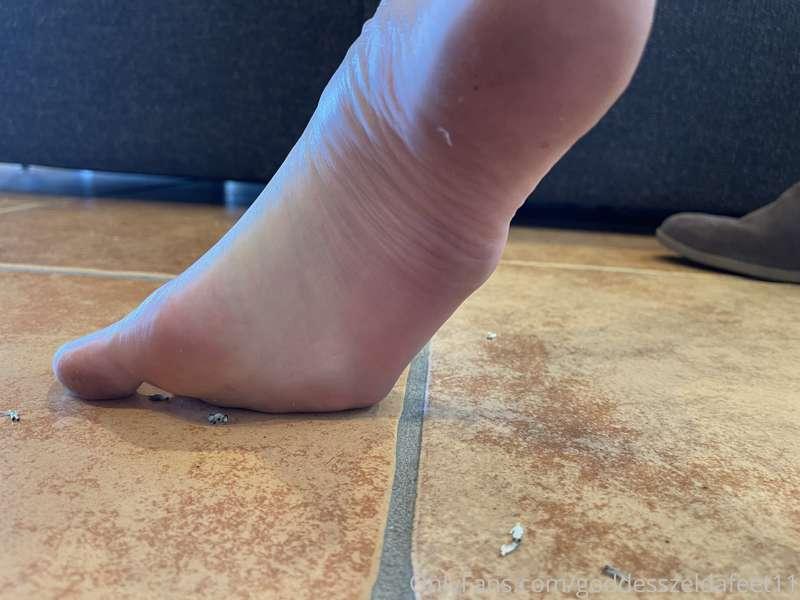 goddesszeldafeet11 image #23