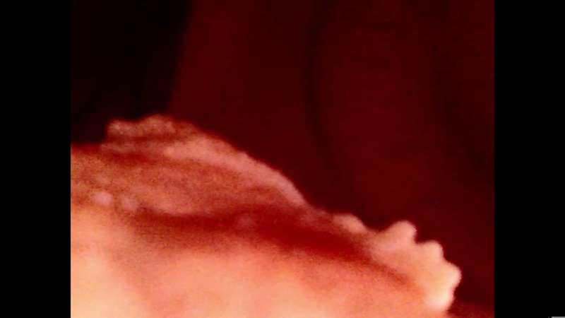 Scarlett vore
