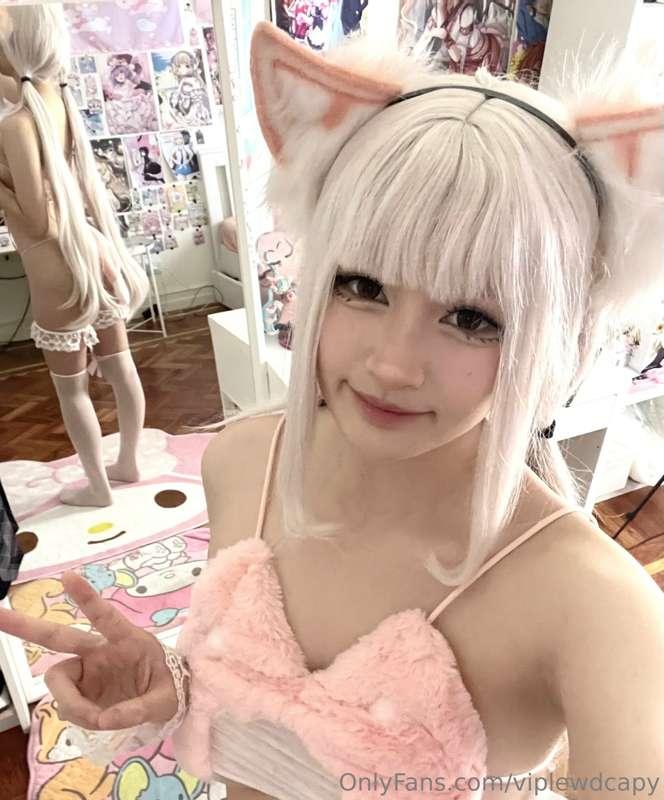 Vanilla cat girl photoset (pt 1)