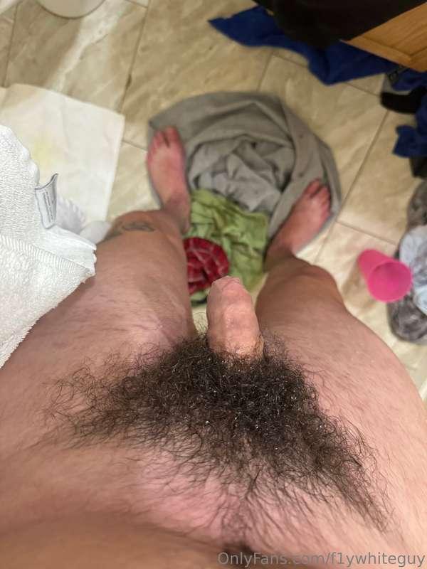 f1ywhiteguy image #1