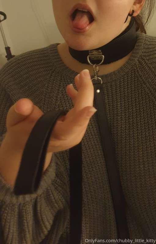 Collared and waiting...
Be good kittens 🐱