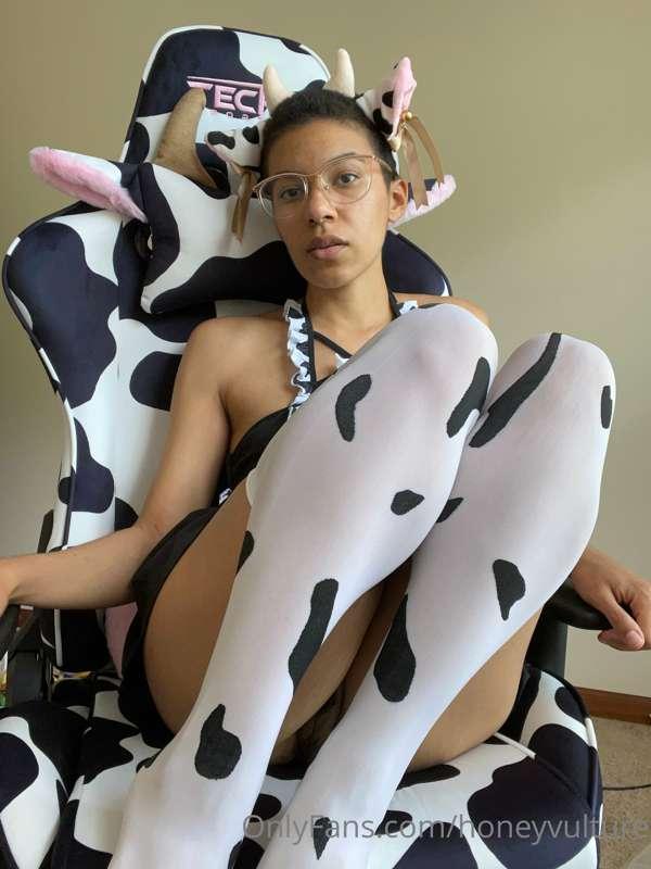 Cow on cow action 🐮 full video of me humping this chair in t..