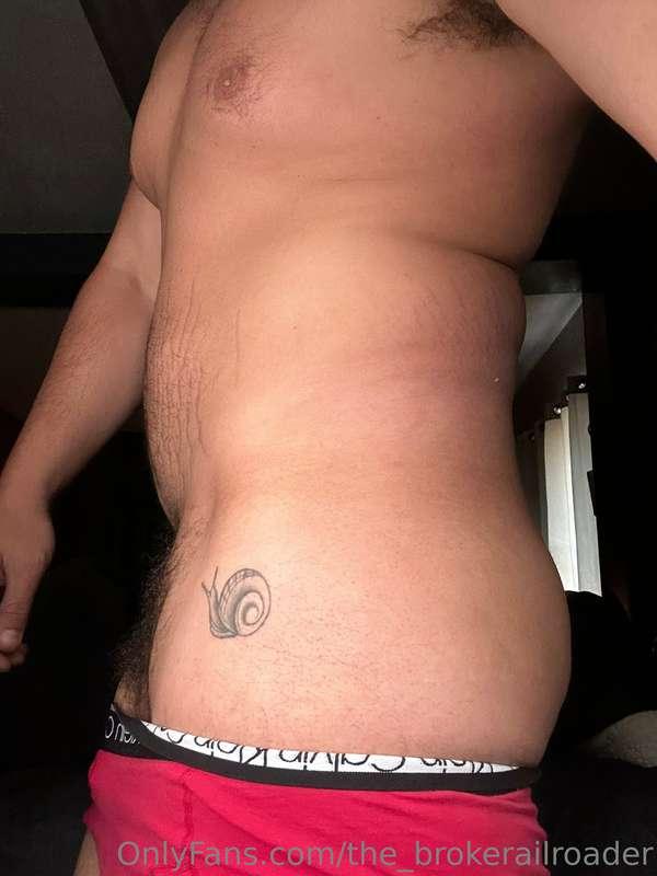 Pits, bush, snail