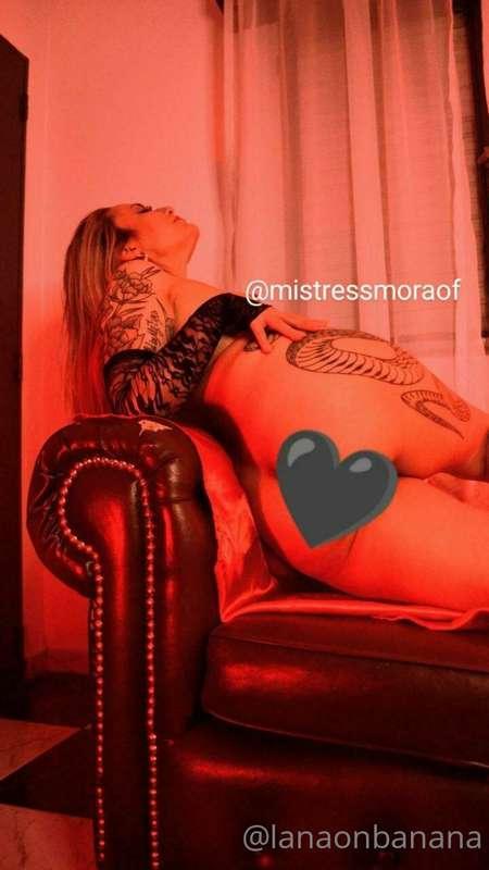 @mistressmoraof
@mistressmoraof
@mistressmoraof

🖤 D O M I N..