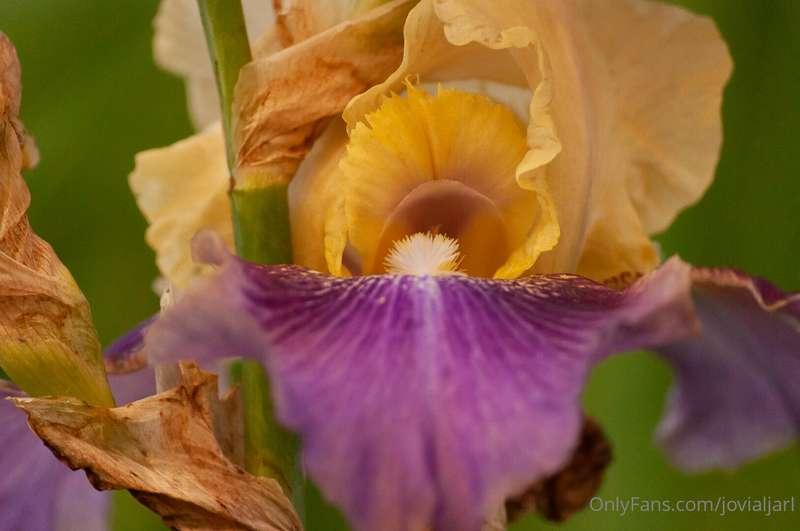 I was out playing with the camera trying to relearn settings..