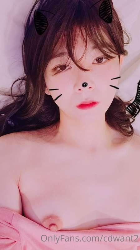 cdwant2 image #4