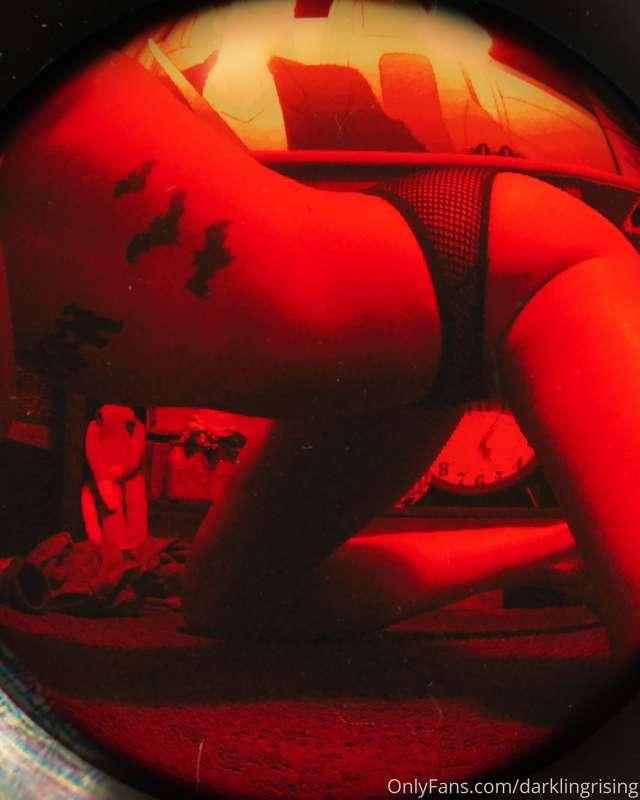 plutocoochie image #0