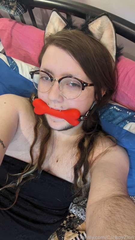 I feel so cute with my tail and my bone &lt;3 #petplay #plug #tail #toys #pics #lewd #nude