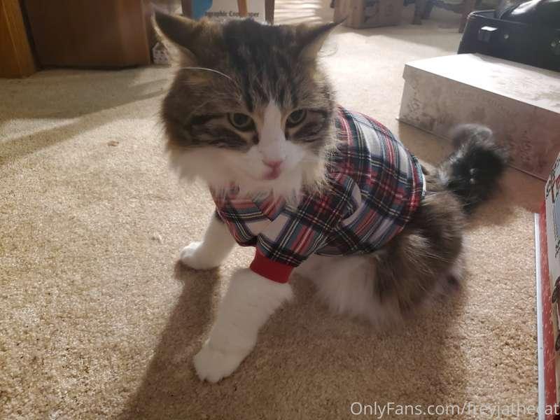 LOOK WHAT THE HUMANS HAVE DONE TO ME!!!! They will pay for t..